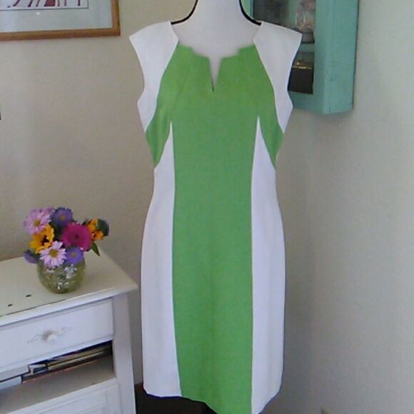 Ellen Tracy Beautifully Seamed Colorblock Dress - Picture 1 of 11